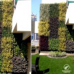 vertical-garden-design-hdfc-bank-1